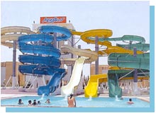 Отель Albatros Resort