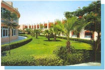 Отель Sindbad Beach